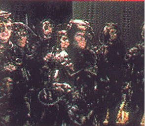 Borg, they're not Swedish...